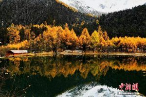 到底要不要老人带孩子，这是我见过最好的答案