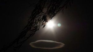 警察：这是我见过最残忍的案子