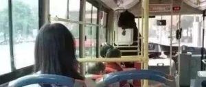 女子辱骂公交司机近半小时：有本事往嘉陵江里冲！为什么规则会被无视？