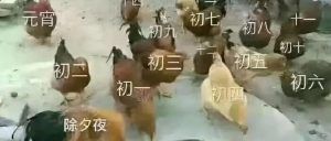 不是让你浪费，但这些菜要是剩下了，就别吃了！