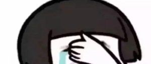 一个自称入侵过公安系统，把自己隐藏了的高中学生骗子