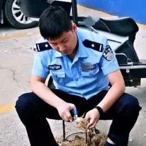 警惕套路贷：河南民权“逗比”警察小李爆笑来袭！