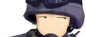 标杆判决！“唐山副局长太太袭警被判一年半”堪称妨害公务犯罪经典判例