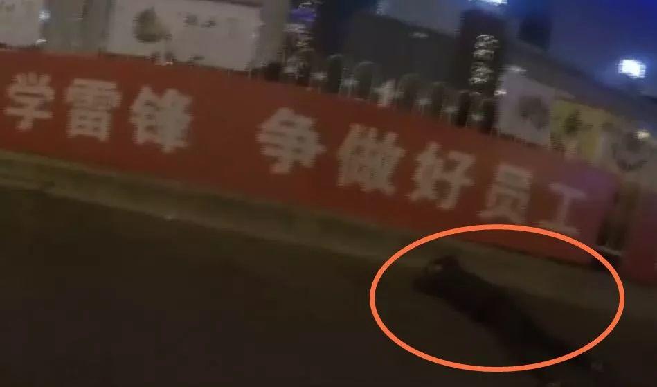 叫嚣要打死北京警察，然后还真打了！迎来完美大结局！