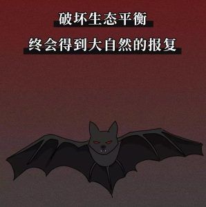 战役！一只蝙蝠的自述在朋友圈火了！