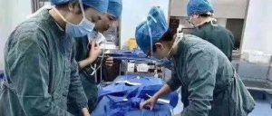 湖北省红十字会3名领导被问责