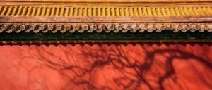 女子“袭胸”北京警察，获刑8个月