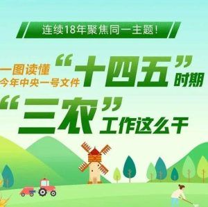 未来5年，“三农”工作这么干！
