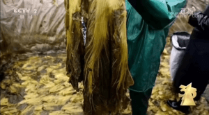 “土坑”酸菜、“木薯”粉条？管得到位，才能吃得放心